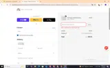 Planet Rhinestone coupon verification screenshot