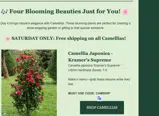 CAMSHIP coupon verification screenshot