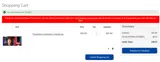 Playstation coupon verification screenshot