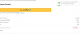 Pleated an Online Boutique coupon verification screenshot