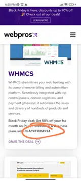 BLACKFRIDAY24 coupon verification screenshot