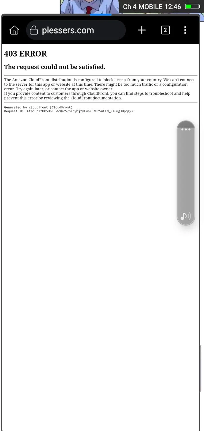 Plessers promo code screenshot showing code SAVE10 applied at Plessers checkout page. Uploaded by SimplyCodes community member MightyMaestro356 on Feb 2, 2025