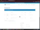 perlin10 coupon verification screenshot