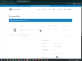 ANTON coupon verification screenshot