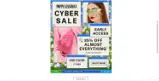 CYBER coupon verification screenshot