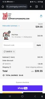 SAVE10 coupon verification screenshot