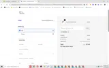BRITTANY coupon verification screenshot