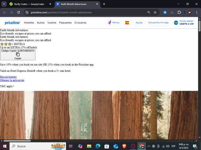 Priceline checkout page showing Priceline promo code box | Screenshot taken by SimplyCodes community member on May 5, 2025