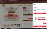 Primal Pet Foods coupon verification screenshot