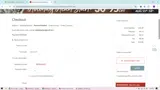 Primitives by Kathy coupon verification screenshot