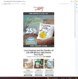 Primitives by Kathy coupon verification screenshot