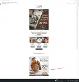 Primitives by Kathy coupon verification screenshot