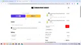 MAGALYS coupon verification screenshot