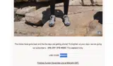 Prism coupon verification screenshot