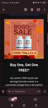 HALLOWEEN24 coupon verification screenshot