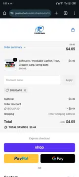 BIGUSA10 coupon verification screenshot