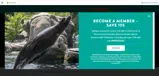 SPRINGSALE coupon verification screenshot