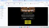 spring15 coupon verification screenshot