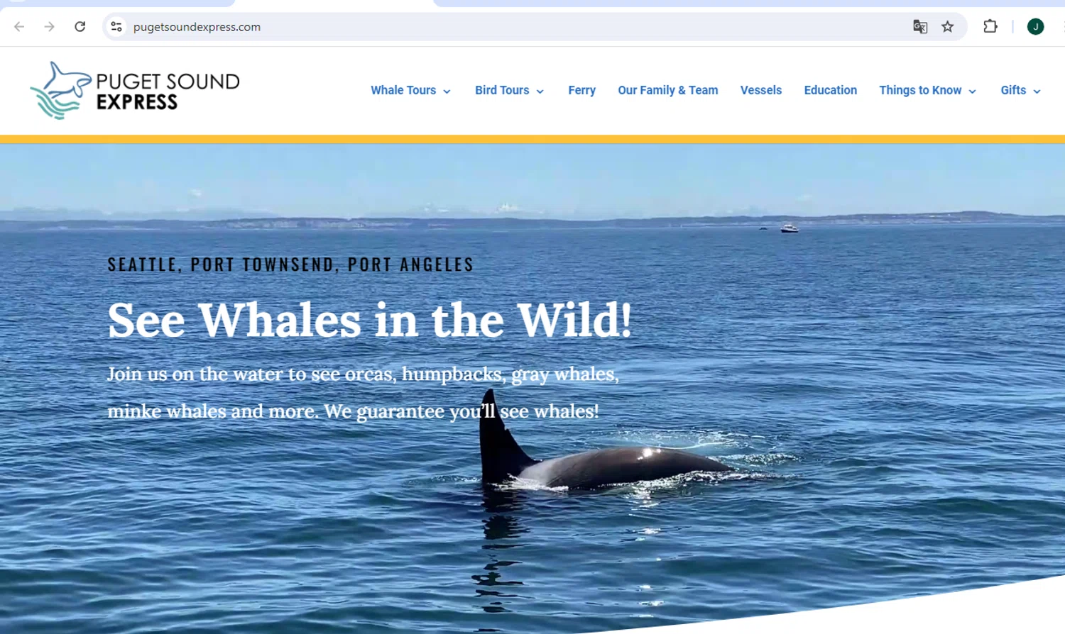 Puget Sound Express checkout page showing Puget Sound Express promo code box | Screenshot taken by SimplyCodes community member on Aug 15, 2024