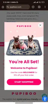 WELCOME10 coupon verification screenshot