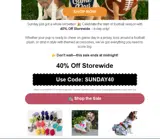 SUNDAY40 coupon verification screenshot