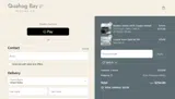 SAVE25 coupon verification screenshot