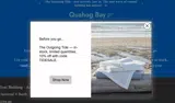 TIDESALE coupon verification screenshot