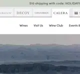 LAUNCH coupon verification screenshot