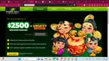 Raging Bull Slots coupon verification screenshot