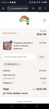 Spooky10 coupon verification screenshot
