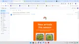 sept10 coupon verification screenshot