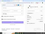 Rainshop15 coupon verification screenshot
