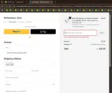 RAKwireless Store coupon verification screenshot