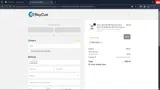 RayCue coupon verification screenshot