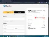 RayCue coupon verification screenshot