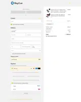 RayCue coupon verification screenshot
