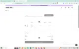 RealDoll coupon verification screenshot