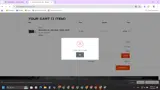 SEEKINS100 coupon verification screenshot