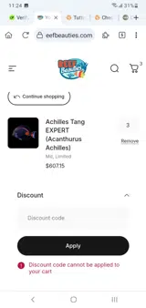 MERRYCHRISTMAS2025 coupon verification screenshot