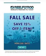 SAVE15 coupon verification screenshot