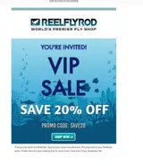 SAVE20 coupon verification screenshot