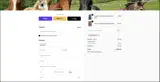 SAVE10NOW coupon verification screenshot