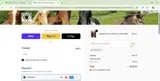 JULY10 coupon verification screenshot