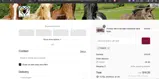 FAN10 coupon verification screenshot
