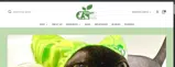 SAVE10 coupon verification screenshot