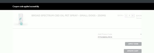 Resilience CBD checkout page showing Resilience CBD promo code box | Screenshot taken by SimplyCodes community member on Dec 22, 2024