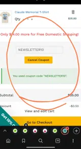NEWSLETTER10 coupon verification screenshot