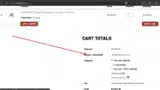 Revel Bikes coupon verification screenshot