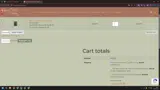 FREESHIP25 coupon verification screenshot