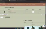 FREESHIP25 coupon verification screenshot
